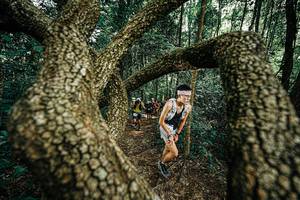 BIB: 
                            <button type="button" onclick="openModal(25393103)" class="btn btn-primary btn-sm float-right btn-popup" data-toggle="modal" data-target=".modal-high-quality">
                        <i class="fas fa-shopping-cart"></i> Add to Cart
                    </button>
                                            <button type="button" onclick="isThisMe(25393103, true)" class="btn btn-success btn-sm float-right btn-popup btn-isme hidden" data-toggle="tooltip" data-placement="bottom" title="นี่คือรูปของคุณใช่ไหม คลิกที่นี่เพื่อเอาเข้าอัลบั้ม">
                        <i class="fas fa-plus"></i> Add to album
                    </button>
                    <button type="button" onclick="isThisMe(25393103, false)" class="btn btn-warning btn-sm float-right btn-popup btn-isnotme hidden">
                        <i class="fas fa-ban"></i> Remove from album
                    </button>